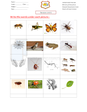 أوراق عمل مراجعة الوحدة 6 Revision Unit 6 لغة انجليزية الصف 3 الفصل 2