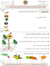 الاختبار الأول للفصل الدراسي الأول علوم صف أول