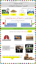 تلخيص درس مجموعات الحيوانات علوم صف أول فصل أول