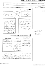 حل النجوم والمجرات والكون كتاب النشاط علوم الصف 6