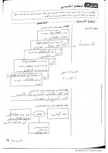 حل النظام الشمسي كتاب النشاط علوم الصف 6 فصل 3