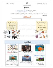 ملخص الدرس 4 تصنيف الحيوانات من الوحدة الثانية علوم الصف 3 الفصل 1
