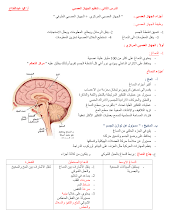 ملخص درس تنظيم الجهاز العصبي أحياء صف ثاني عشر عام فصل أول