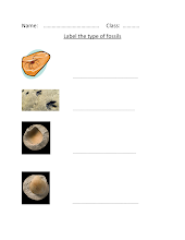 ورقة عمل fossil العلوم المتكاملة Inspire الصف 3 الفصل 2