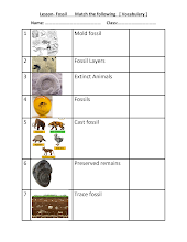 ورقة عمل Fossil العلوم منهج انجليزي الصف 3 الفصل 2